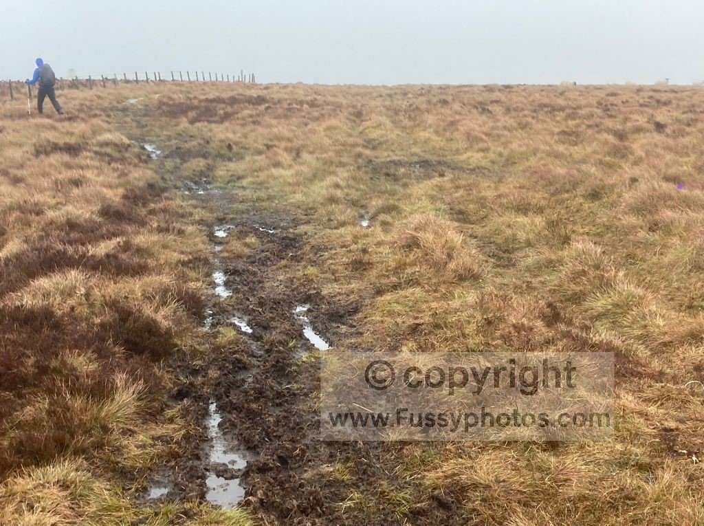 View of boggy, unpaved ground below King’s Seat, just before the steep 190m climb to 743m.