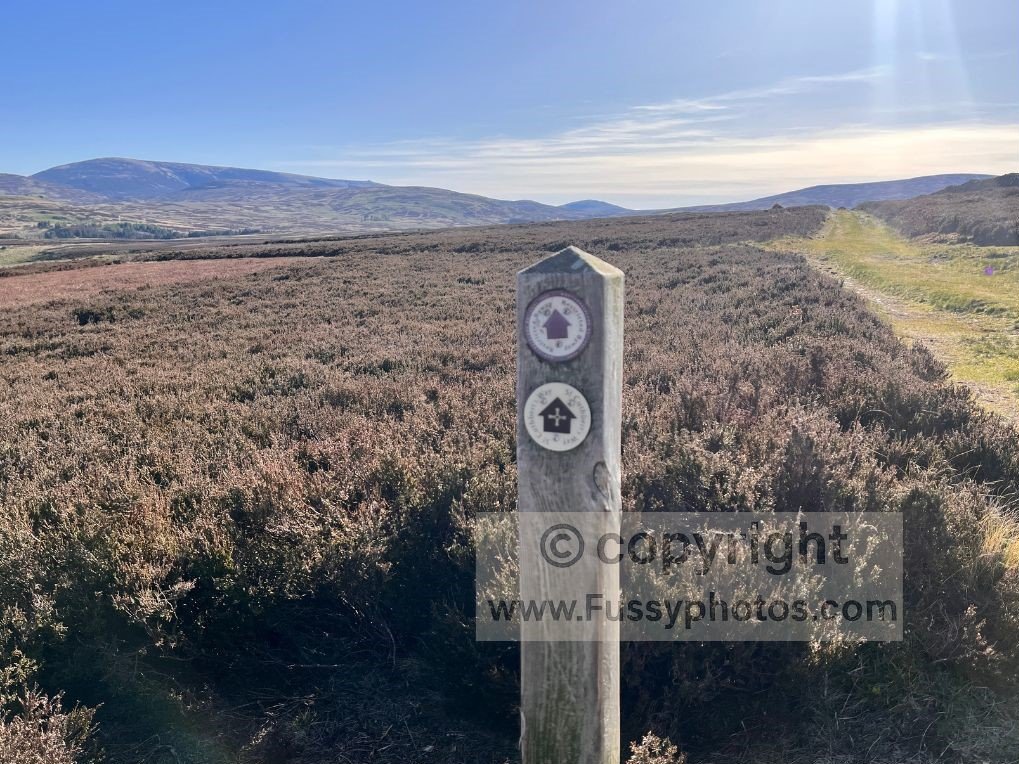St Cuthbert’s Way trail sign on open moorland, with the flat summit of The Cheviot visible in the distance.
