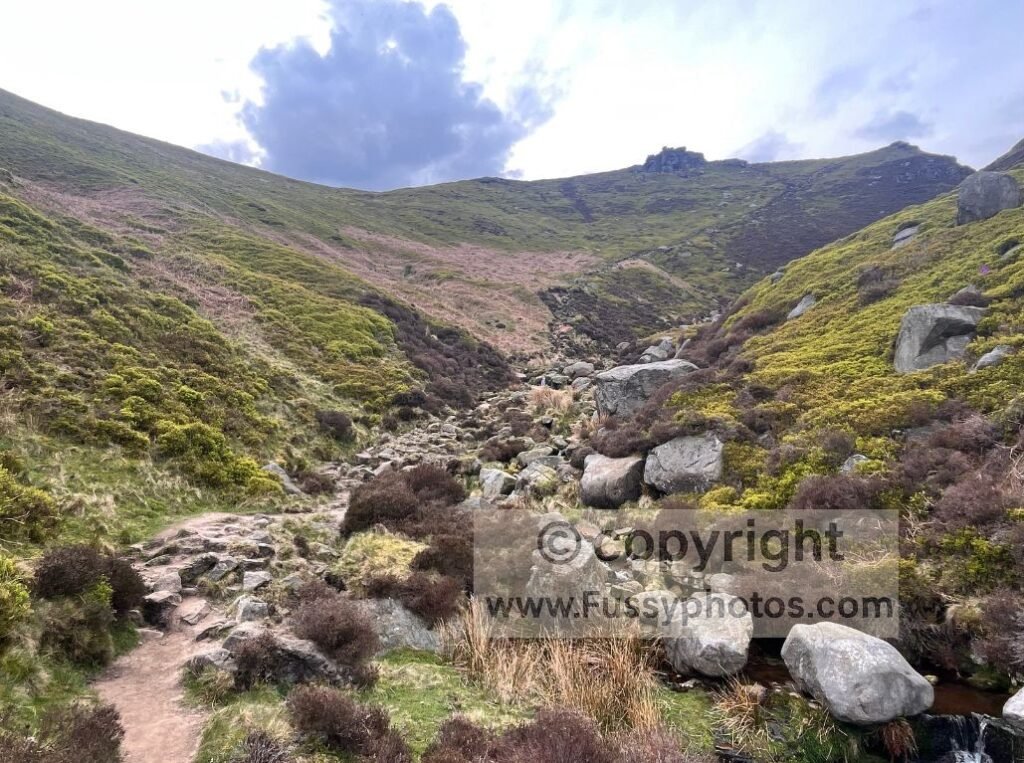 View back up Crowden Brook towards the ridge and Crowden Tower, with rocks and heather lining the valley.