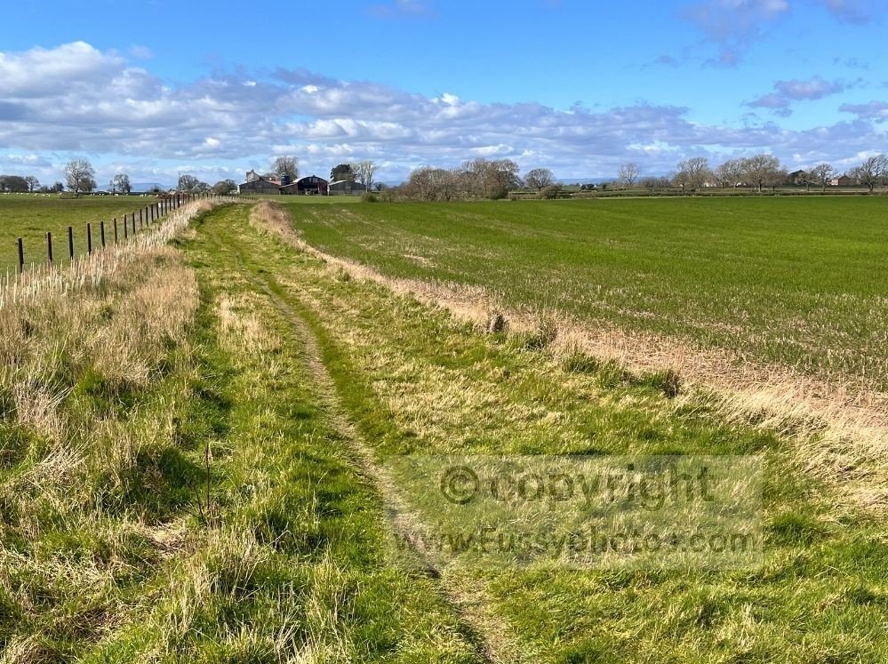 Flat farmland west of the A19 on the Coast to Coast route, walking towards Danby Wiske under clearing skies.