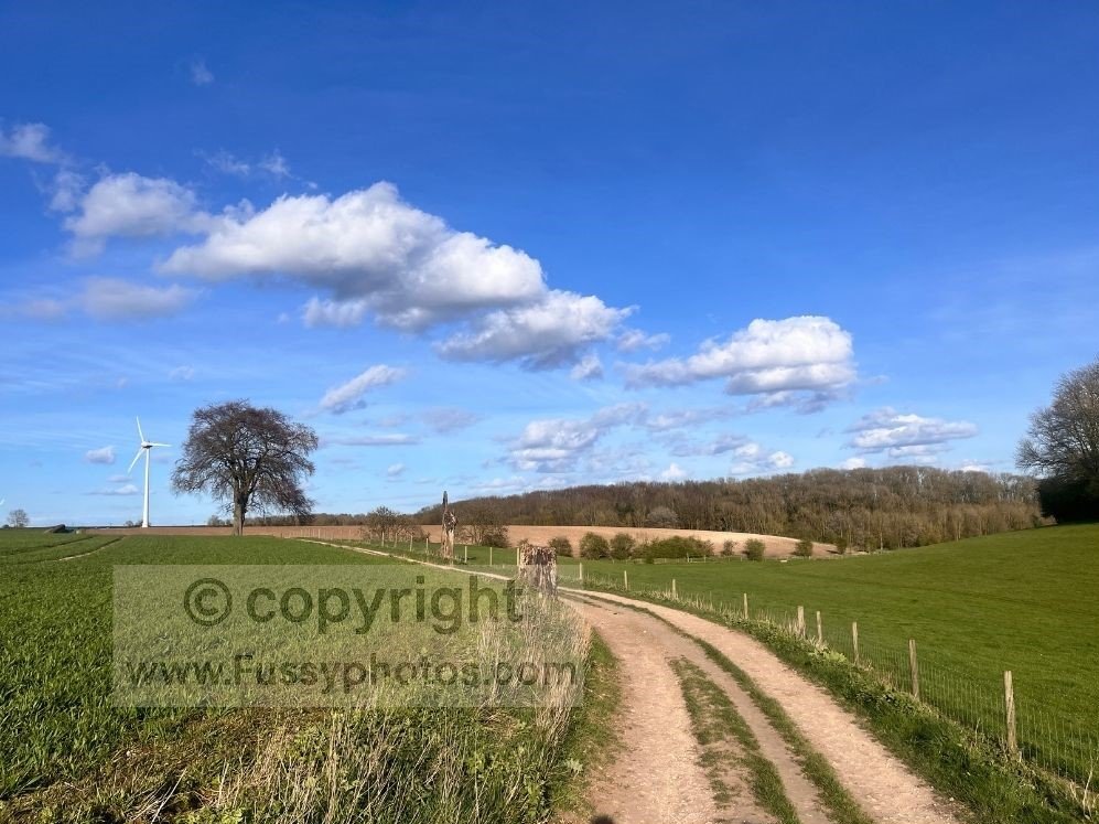 Open farm track on the Yorkshire Wolds Way north of Welton, with fields on both sides and a wind turbine and solitary tree visible ahead.