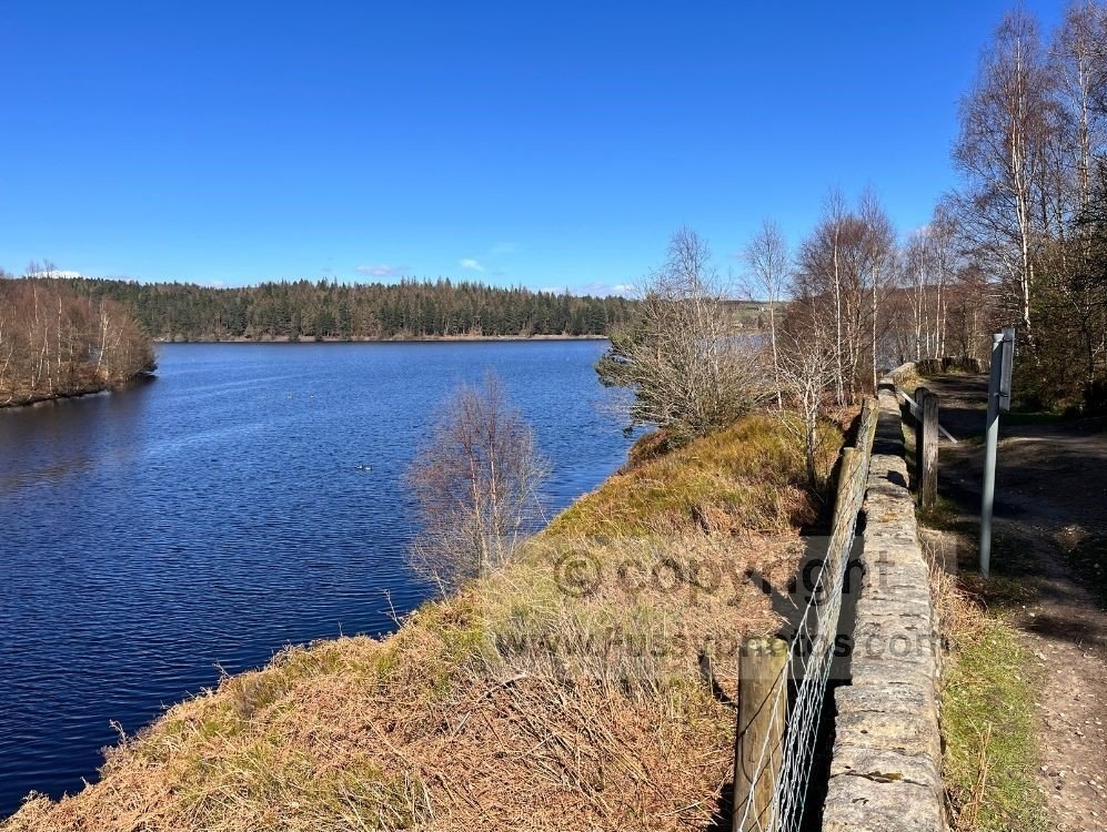 View across Langsett Reservoir from the southwest shoreline, seen from the path through Thickwoods Plantation as it slopes down towards the water.