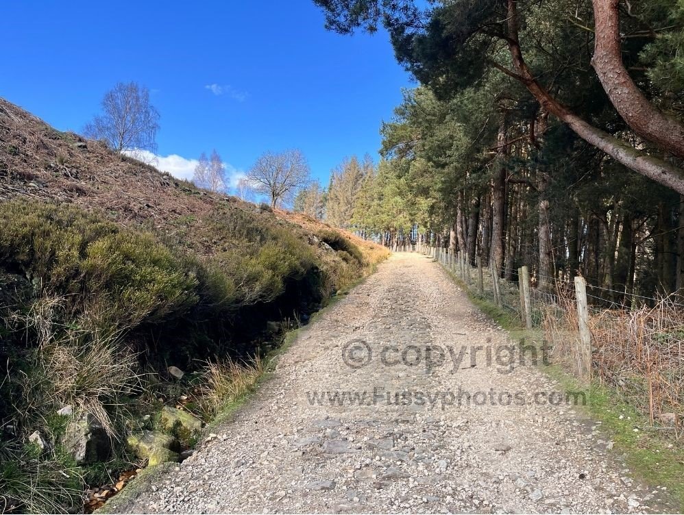 Pebbled footpath rising above Langsett Reservoir, photographed on the main ascent where the track climbs steadily towards higher ground.