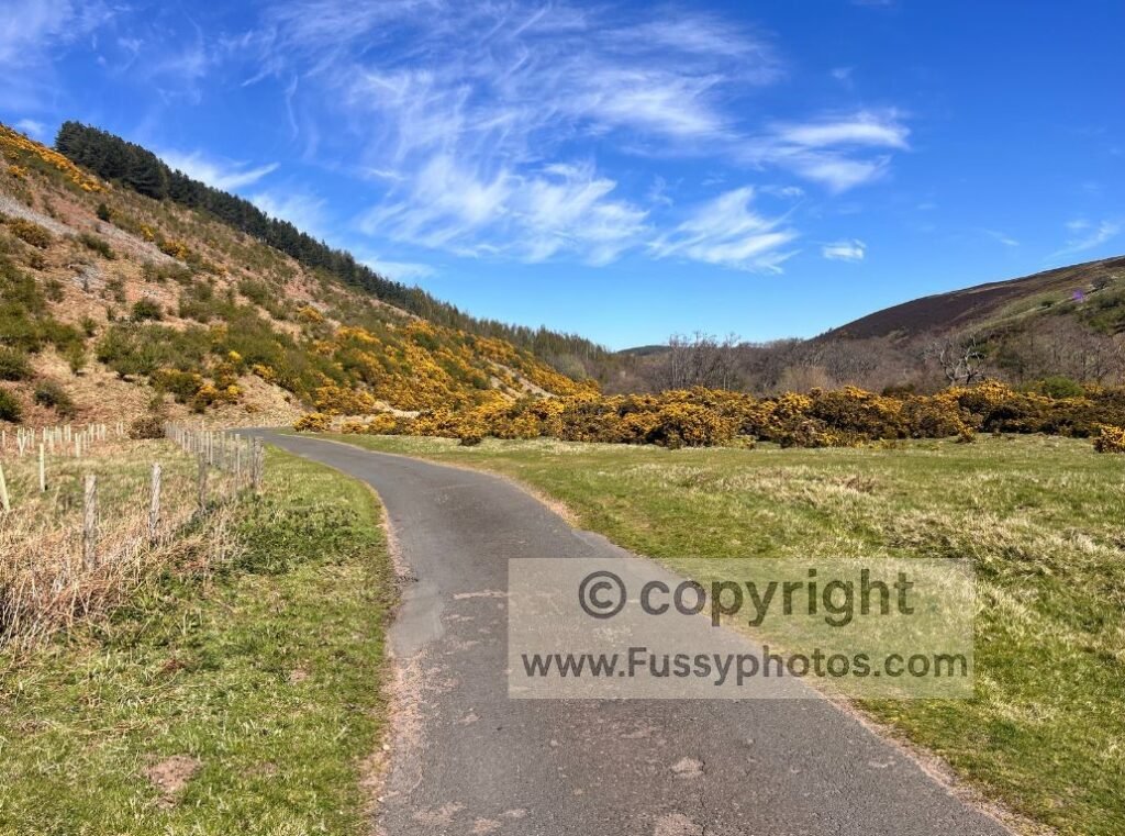 Quiet valley road running beside Harthope Burn on the final walk back towards Wooler.