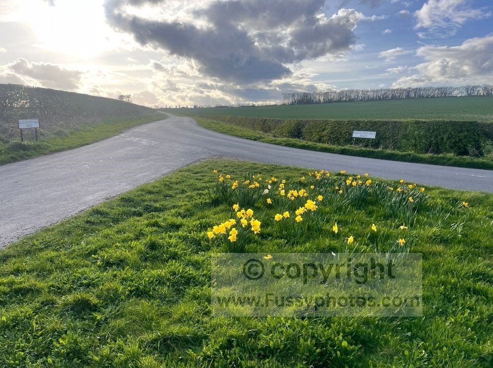 Short section of road walking on Elloughton Dale Road close to Elloughton Dale, taken along the Yorkshire Wolds Way before the route leaves the lane.