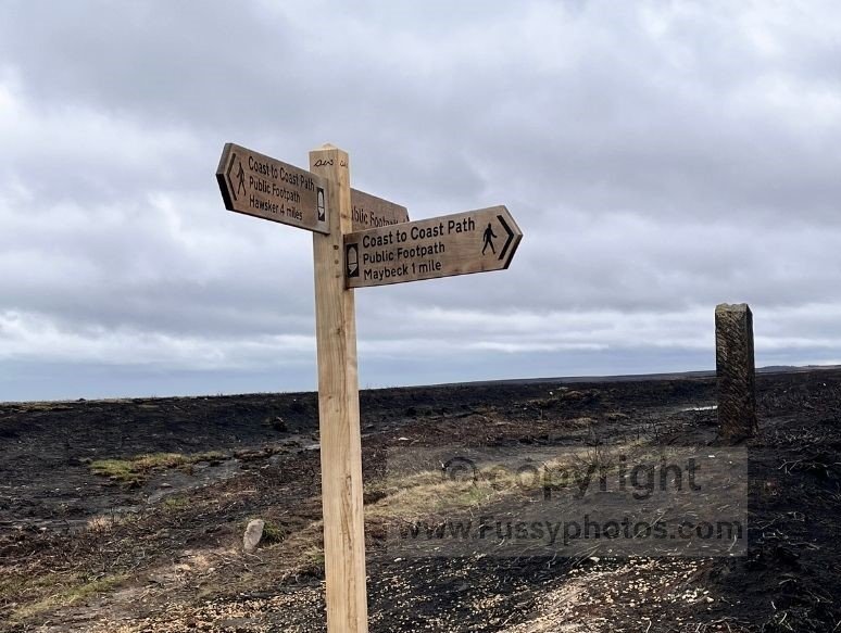 Photo of a Coast to Coast waymarker on Sneaton Low Moor, with the surrounding moorland blackened by the 2025 wildfire.