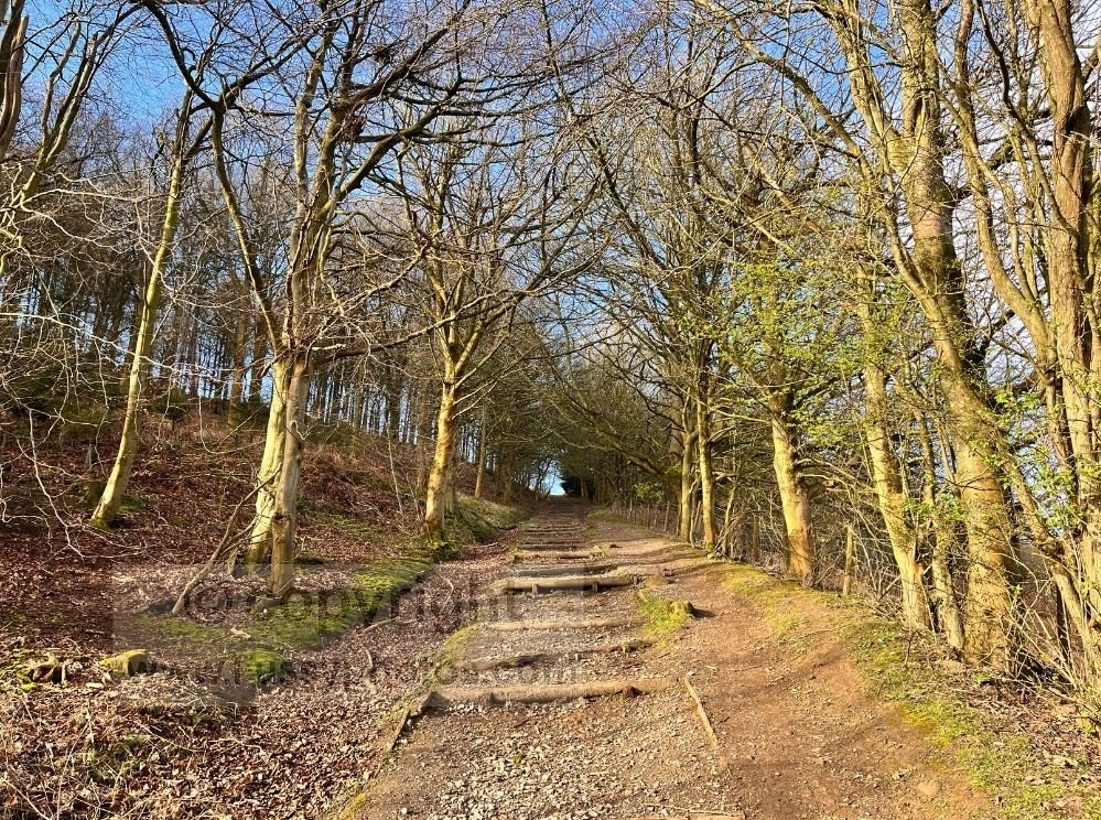 Long flight of steps heading south from Round Hill on the Coast to Coast route, rising towards the moorland ridge.