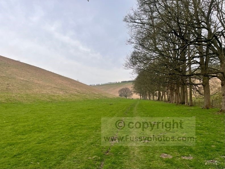 View looking south along Thixen Dale, a narrow steep dry valley on the Wolds Way leading towards Thixendale.