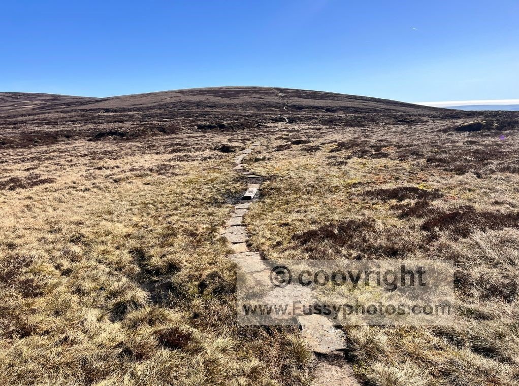 Stone slabs leading northeast towards the flat summit of The Cheviot, part of the 3‑mile return detour.