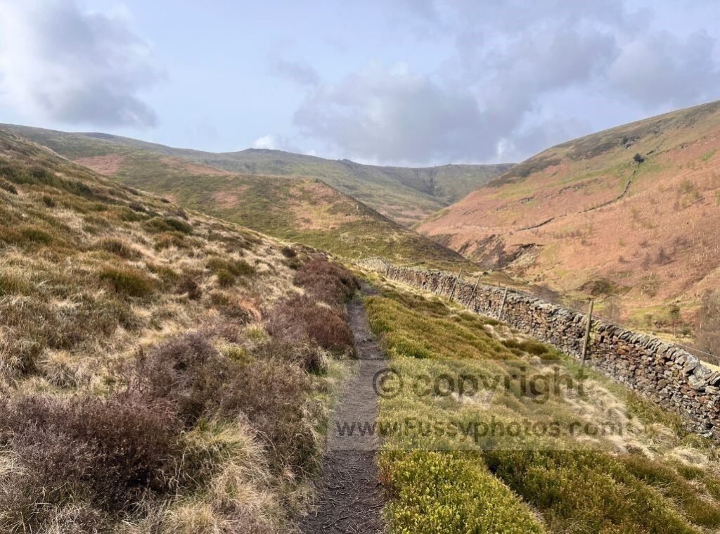 Narrow path rising above the valley of Blackden Brook, following a faint hillside trail at the start of the ascent.