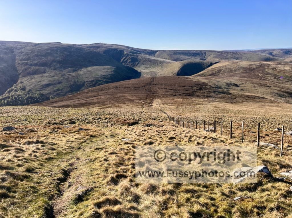 Southward view from The Schill showing the boggy descent and The Cheviot visible on the skyline.
