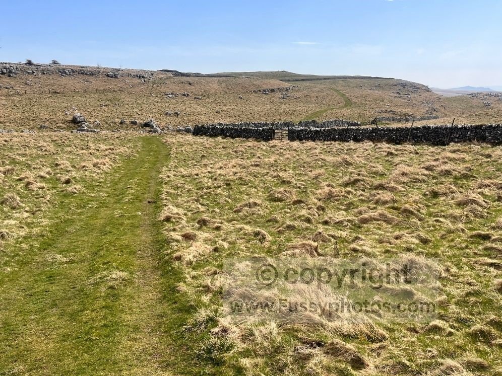 Well‑defined moorland path on the approach to Gordale Scar, heading across open ground towards the entrance of the gorge.