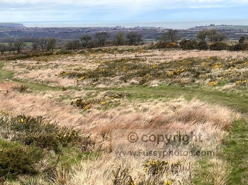 Photo of bleak moorland above Low Rigg Farm, looking northeast with Whitby Abbey just visible on the horizon.