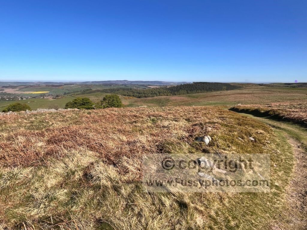 Looking down St Cuthbert’s Way towards Wooler, taken from the open moorland above the forestry plantation.