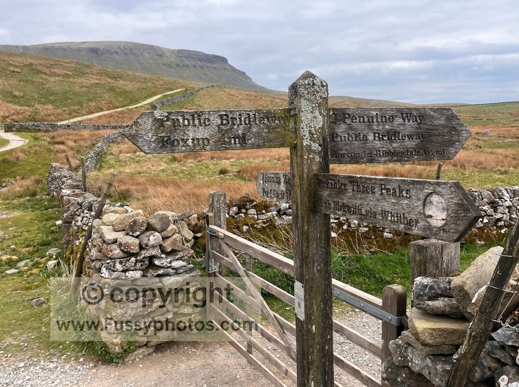 Trail junction below Pen‑y‑ghent, with fingerposts and waymarks showing the clear, easy‑to‑follow navigation on this part of the Pennine Way.