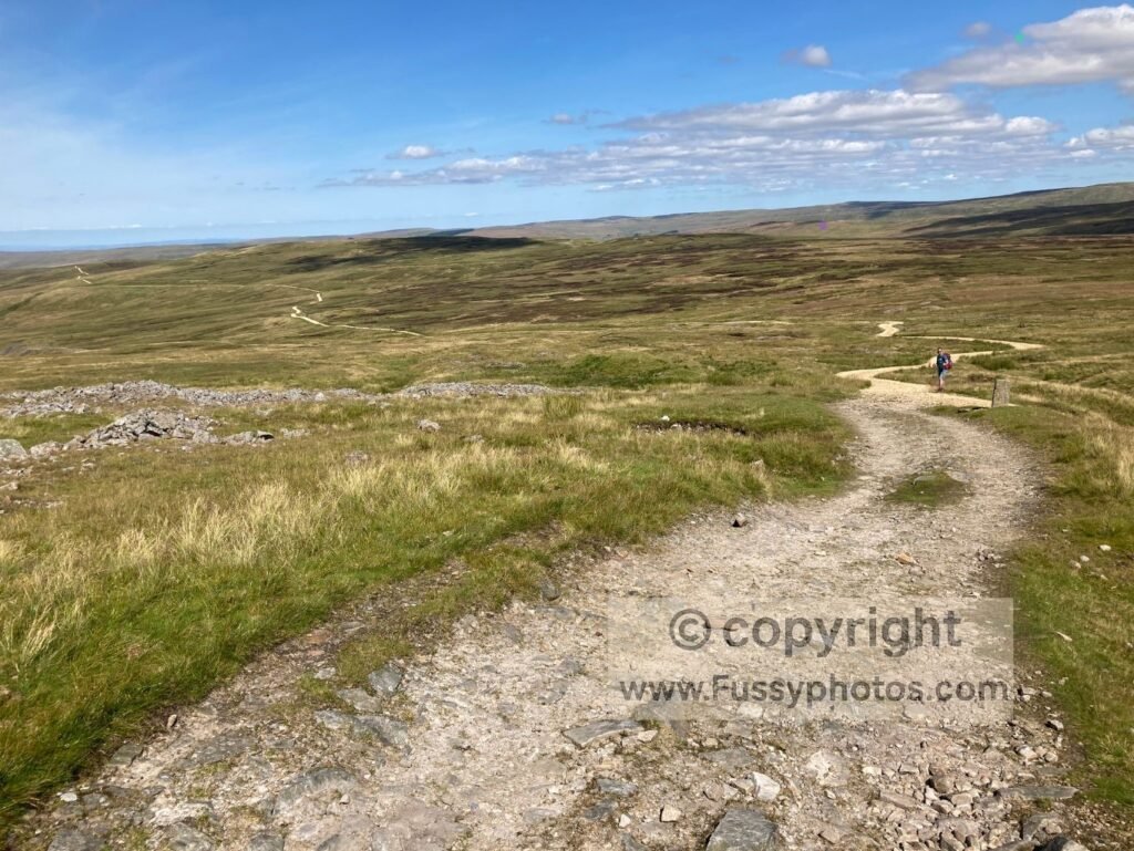 Clear historic trackway on the descent to Garrigill on the Pennine Way.