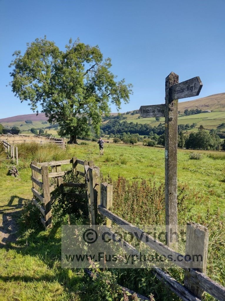 Trail fingerpost marking the Pennine Way route in Teesdale.