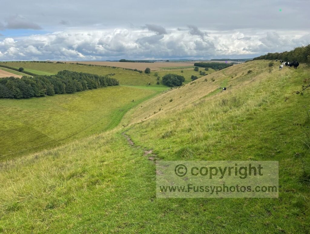 View from the rim of Horse Dale on the Wolds Way, looking down the descent towards Holm Dale with expansive west‑, east‑ and north‑facing valley views.