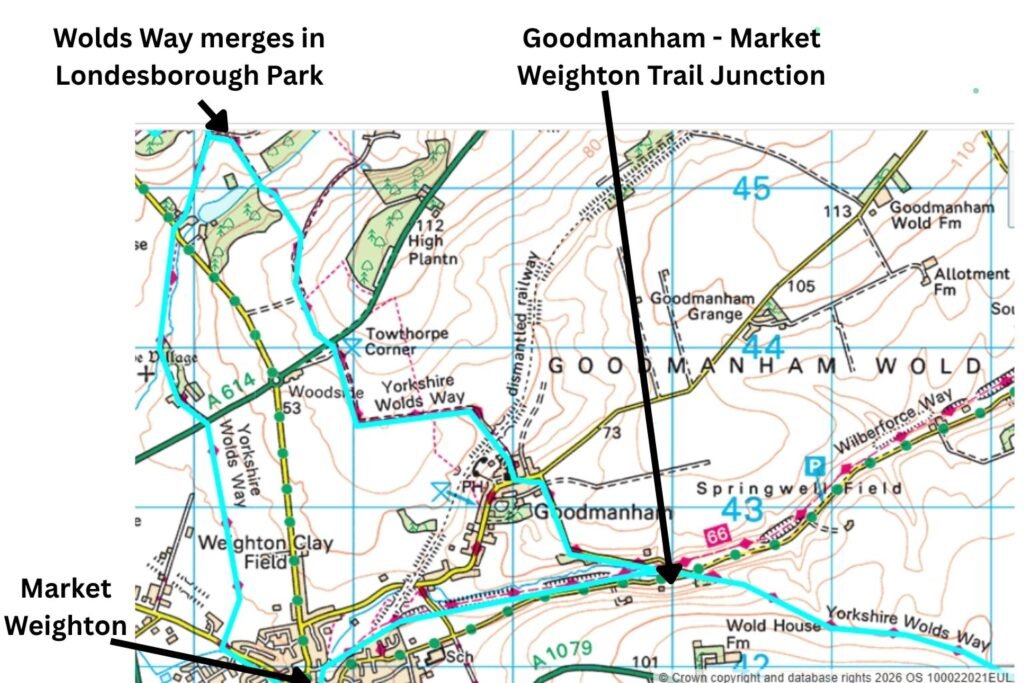Annotated map showing the Yorkshire Wolds Way in light blue at the Goodmanham–Market Weighton trail junction, with both route options labelled and the merge point marked inside Londesborough Park.