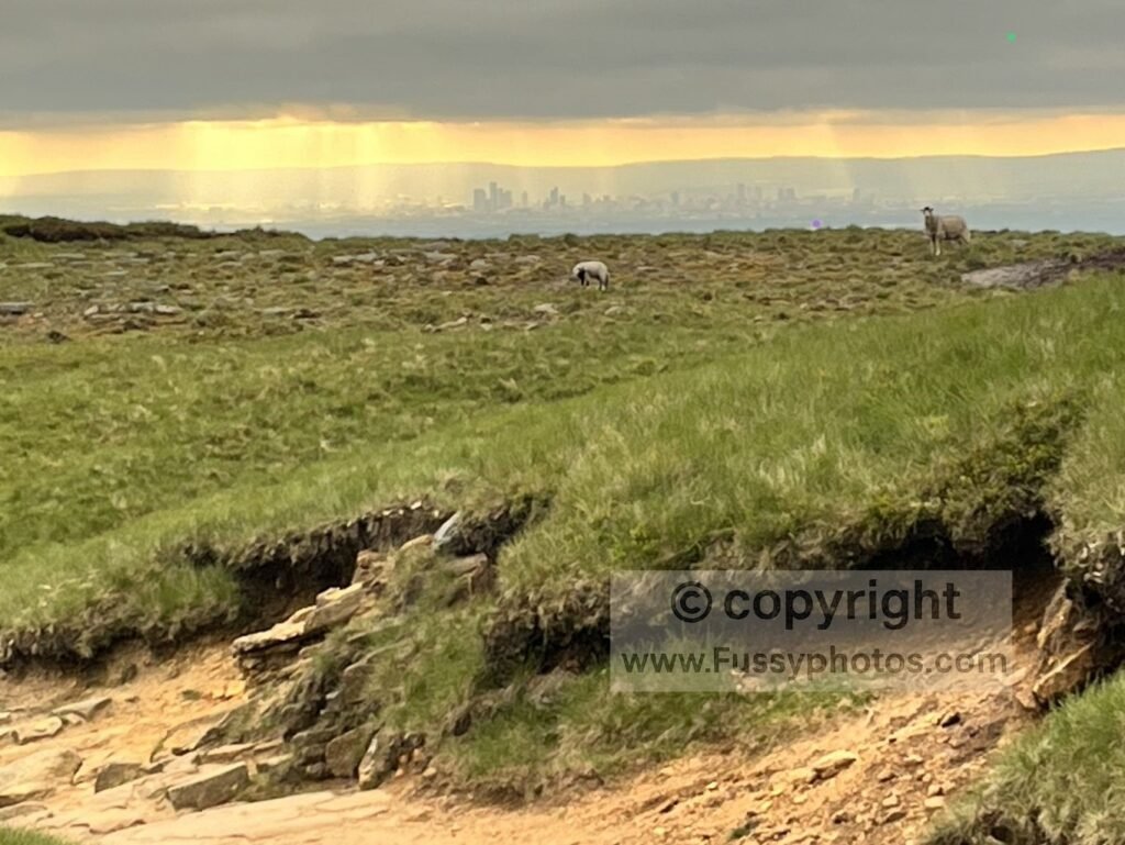 Sunset view between Kinder Downfall and Mill Hill, with light falling on Manchester in the distance.