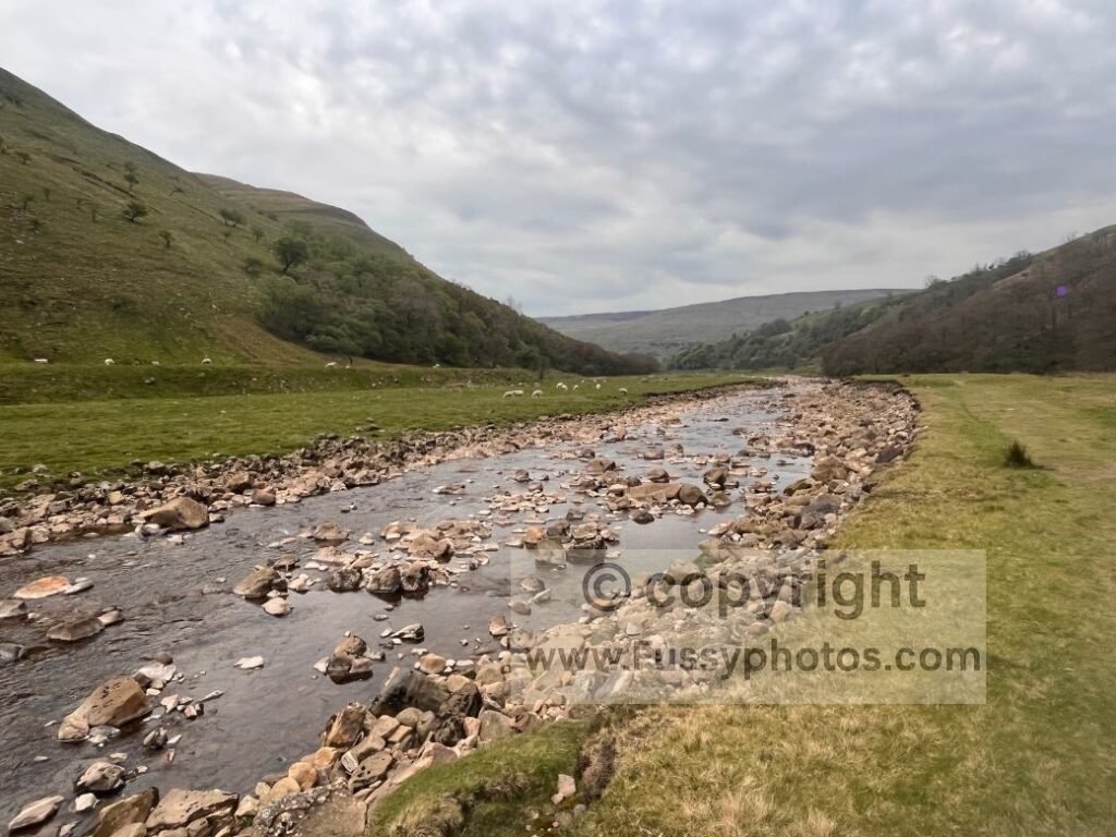 View looking south along the River Swale, with the Coast to Coast path running on the opposite bank.