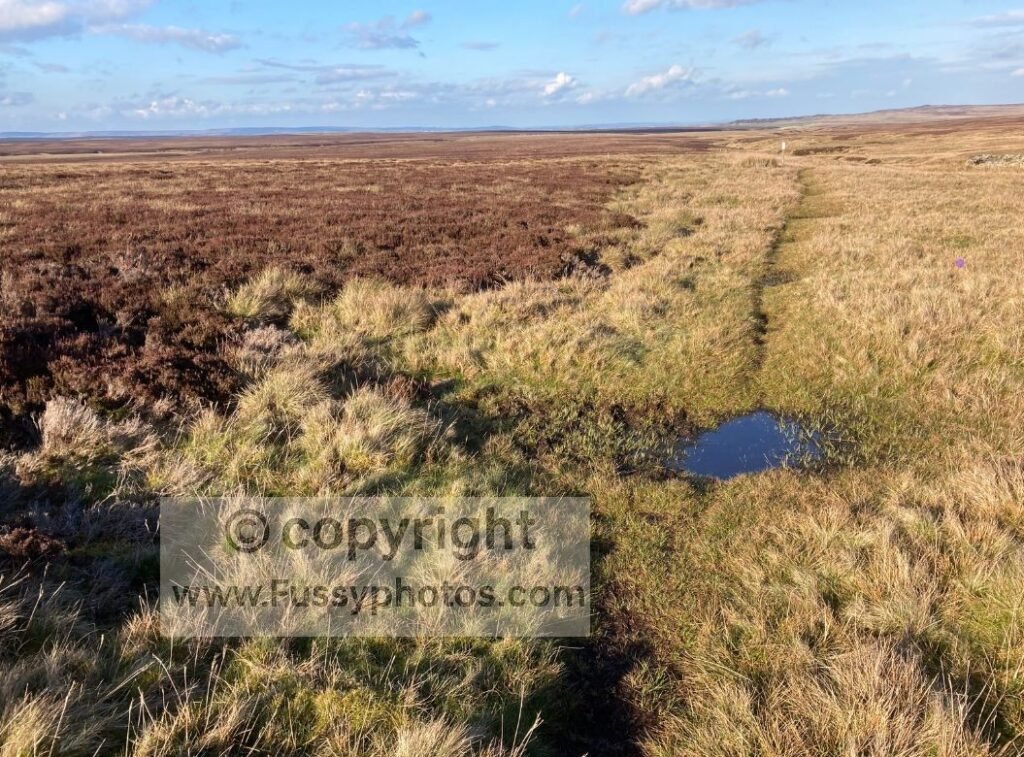 Flat moorland on Sleightholme Moor, stretching ahead for miles with a faint path and boggy ground not fully visible in the photo.