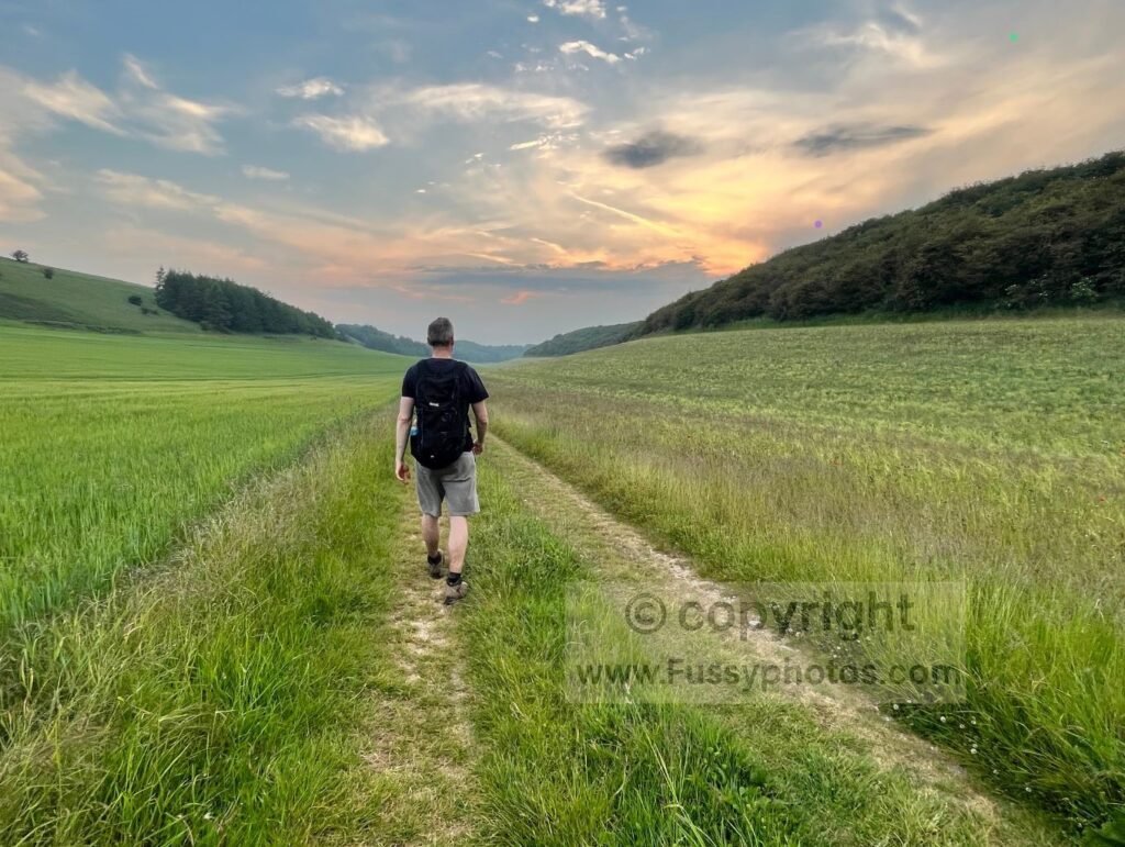 Calm, open view along Swin Dale on the Yorkshire Wolds Way at sunset, showing the broad, beginner‑friendly dry‑valley terrain.
