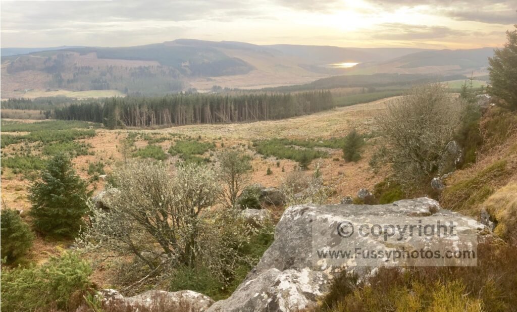 Sunset from the top of the northern climb out of Byrness, showing Catcleugh Reservoir and the forest plantation in the left foreground.