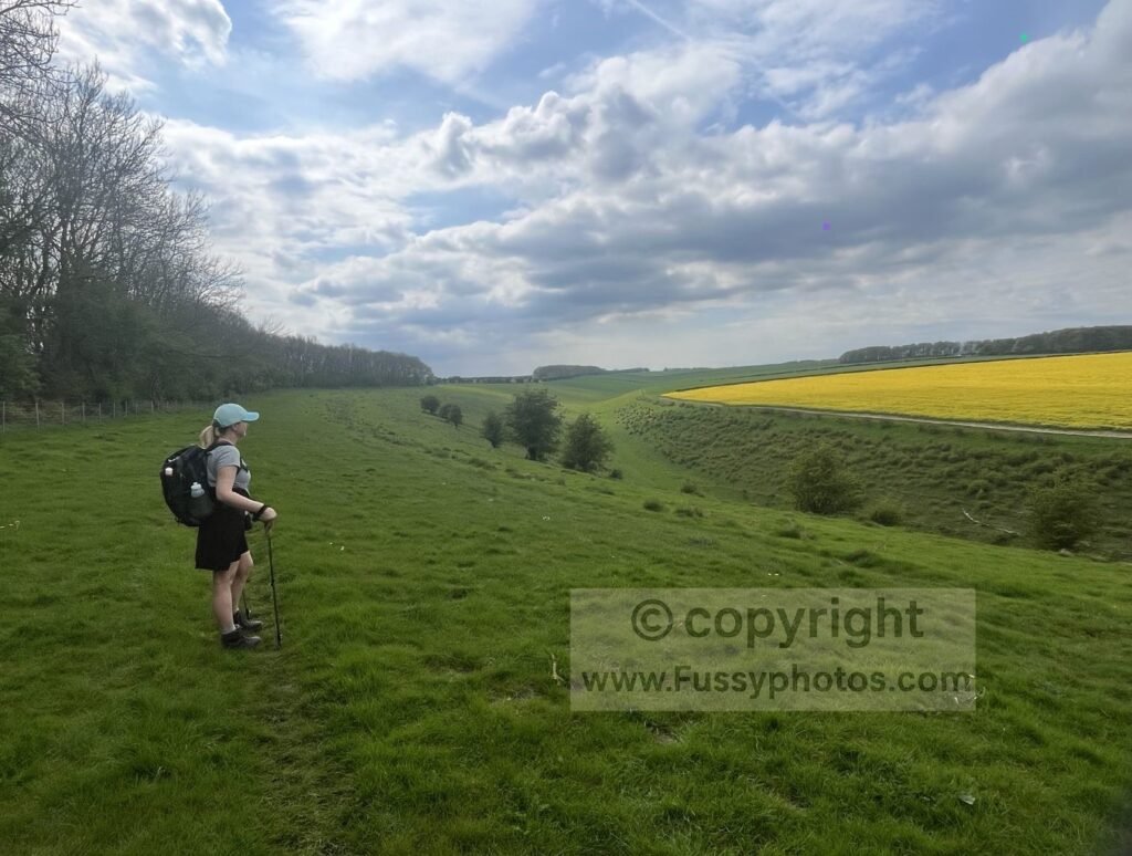 Walker on the rim of Deep Dale on the Wolds Way, with yellow summer fields behind and the early, shallow contours of the valley dropping away below.