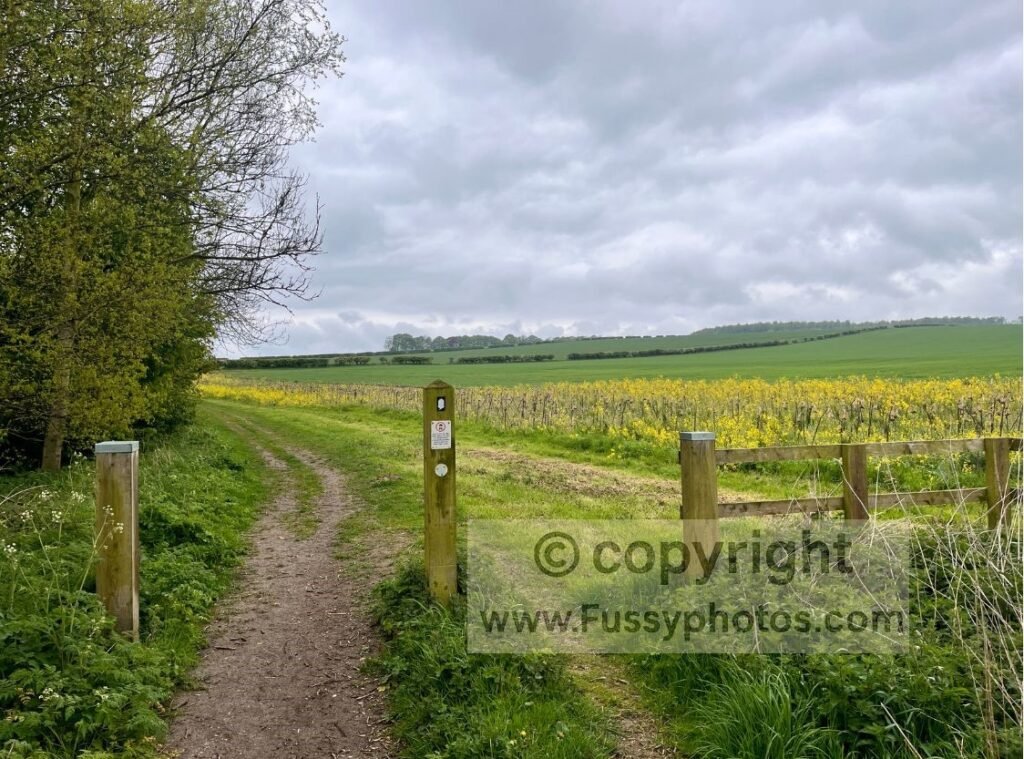 Open farmland on the Yorkshire Wolds Way between Goodmanham and Londesborough Park, showing the field path used by walkers continuing beyond the village.