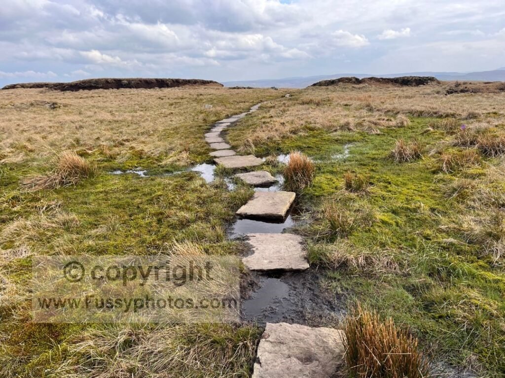 Stone slabs on Great Shunner Fell in dry weather, with boggy ground still visible on both sides of the path.