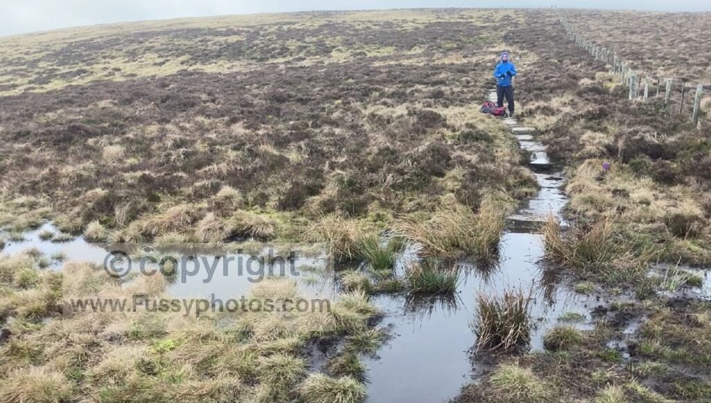 Bog‑flooded flat section on the Pennine Way towards The Schil, with no dry alternative visible.