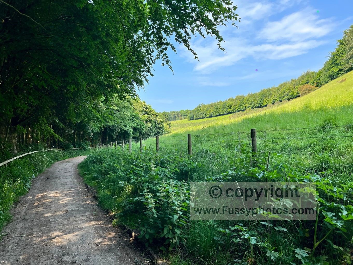 Shaded green valley floor and wooded slopes in Welton Dale on the Wolds Way, showing the calm, early dry‑valley scenery that introduces the character of the route.