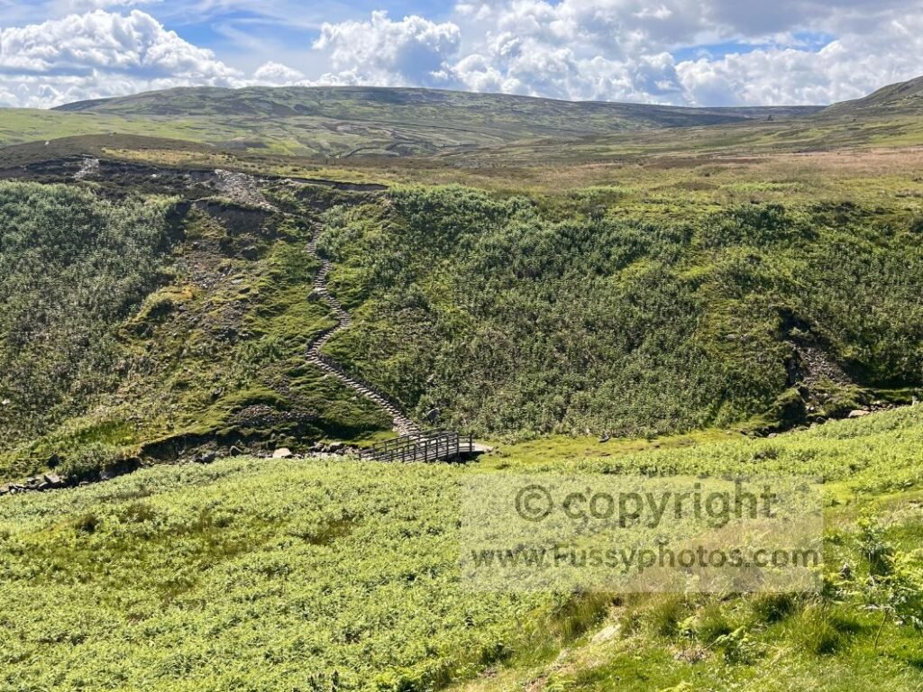 Coast to Coast footbridge — small wooden bridge in the steep Cringley Bottom valley on the Coast to Coast Path.