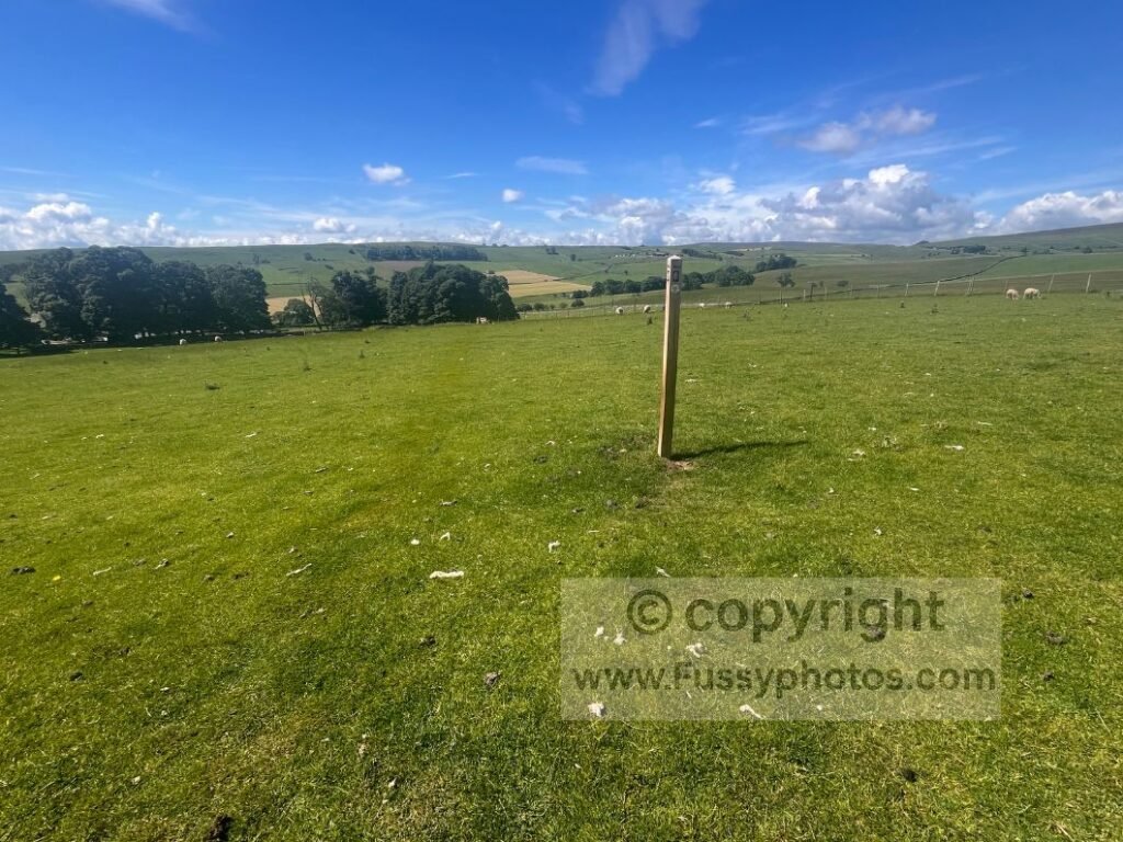 Coast to Coast rolling hills — wide grassy hills with sheep and a trail marker on the Coast to Coast Path above Marske.