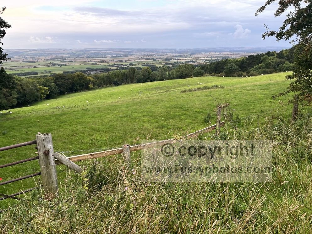 High viewpoint above Sherburn at the end of Day 4 on the Wolds Way, showing the open chalk escarpment and the village below.