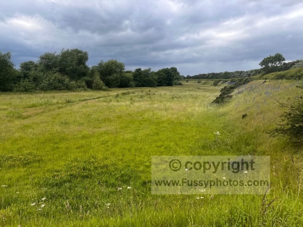 River Swale field approach — grassy field on the Coast to Coast Path with the River Swale unseen to the left and a raised road to the right.