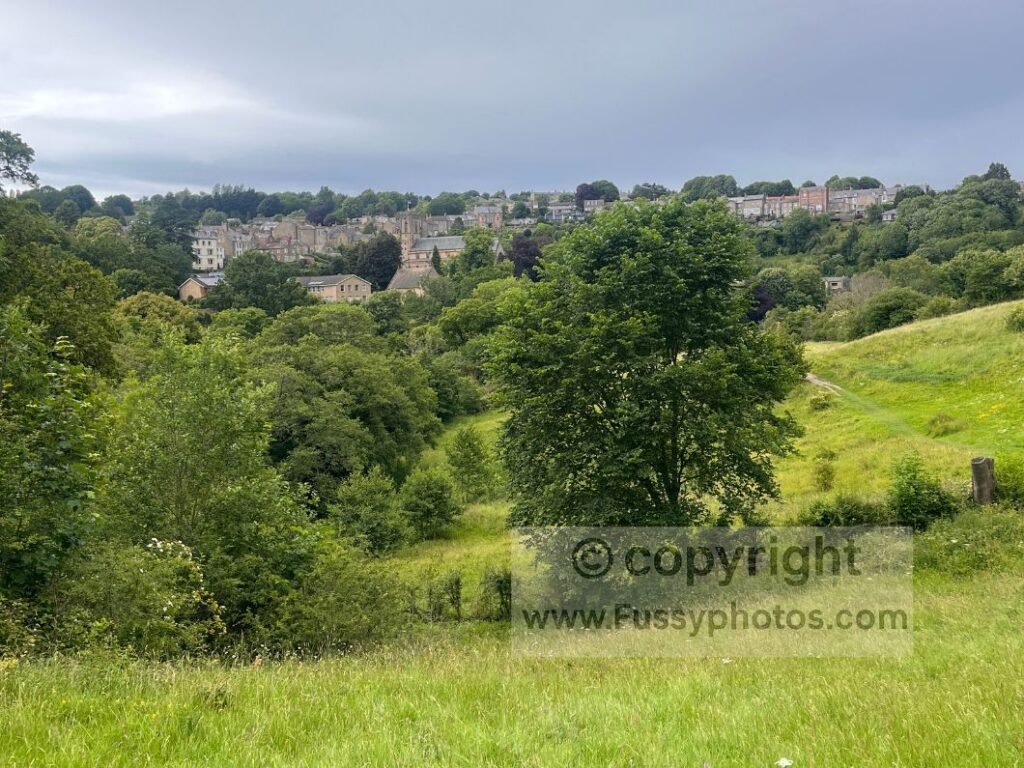 Approach to Richmond landscape — grassy rise and tree line on the Coast to Coast Path, village of Richmond in the background.