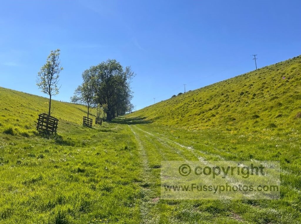 Tree‑lined ascent leaving Brubber Dale on the Wolds Way, showing the narrow valley rising towards the farm track before the route continues to Thixen Dale.