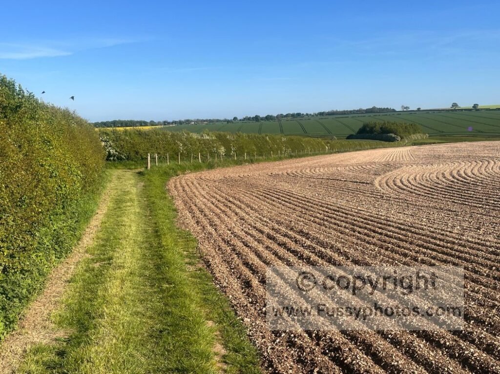 Path along the field edge on the Chalkland Way, dropping steadily towards the top of Horse Dale after leaving the A166 and turning south for Huggate.