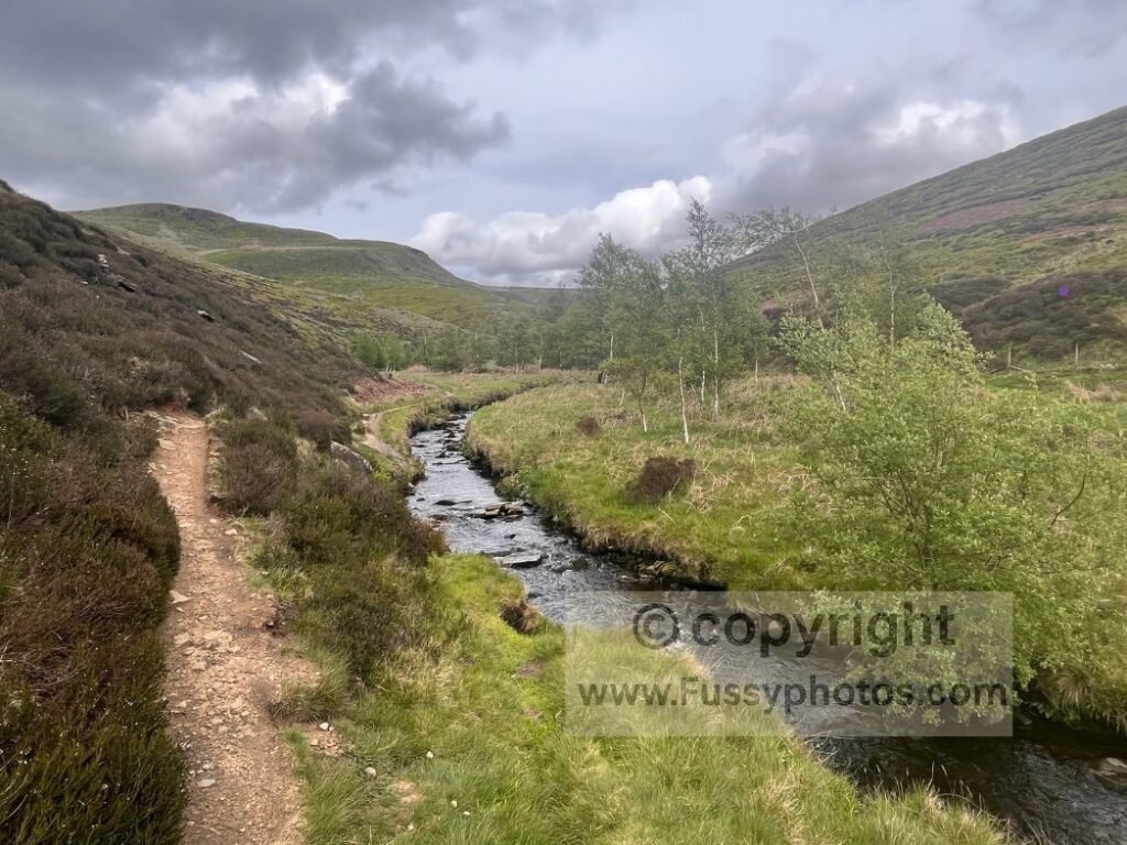 Stream in the narrowing valley — Photo of the stream in the tightening valley of Doctor’s Gate, where the main trail follows the water and a steep side path climbs towards the crash‑site plateau.