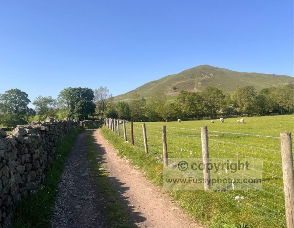 Dufton Pike alt text — Photo of Dufton Pike on a hot, sunny day, showing the eastern flank followed at the start of the route.