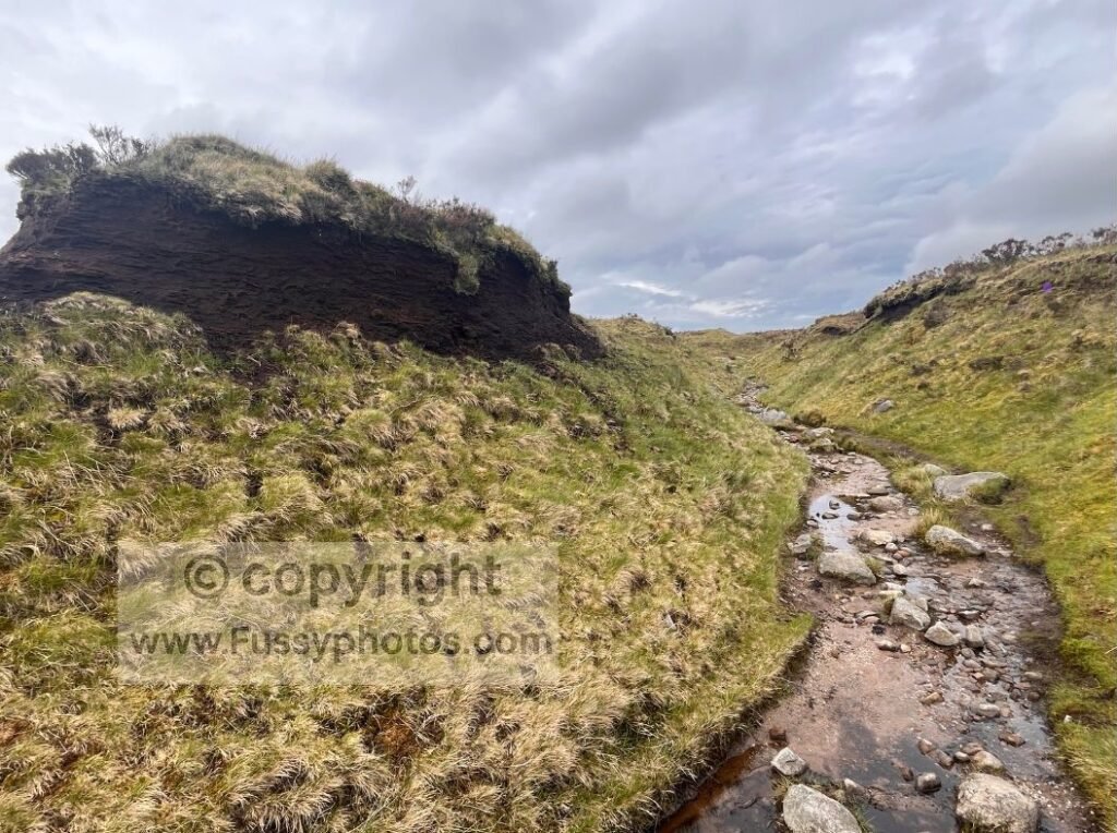 Clear trail in erosion channel — Photo showing a distinct path through an erosion channel on the approach to Bleaklow Head, despite other nearby sections being less obvious to follow.