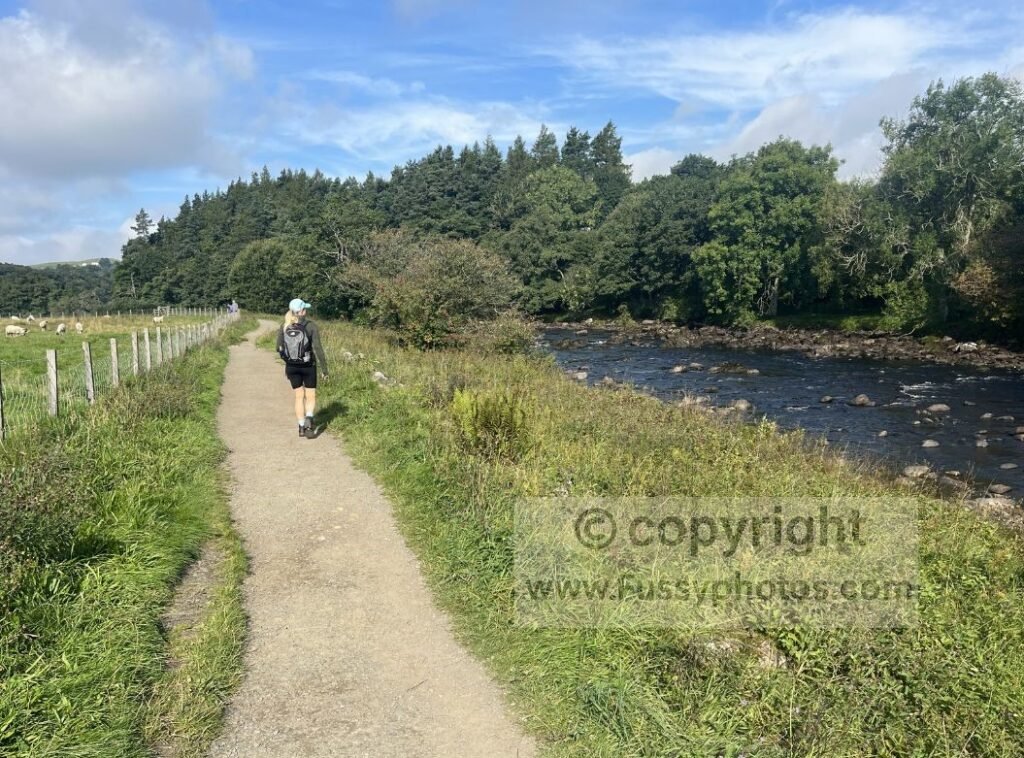 Pennine Way path running beside the calm River Tees, early on the stage from Middleton‑in‑Teesdale towards Dufton.