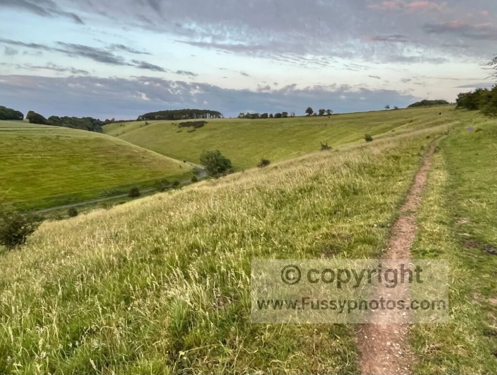 View over Pasture Dale from the Wolds Way, showing the gentle dry valley reached after the bird’s‑eye views north into Scoar and Frendal Dale and the turn east around Nettle Dale.