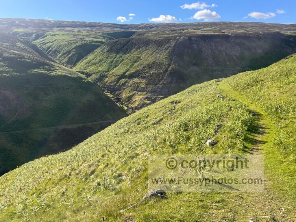 Gunnerside Gill trail — narrow path descending into Gunnerside Gill on the Coast to Coast Path.