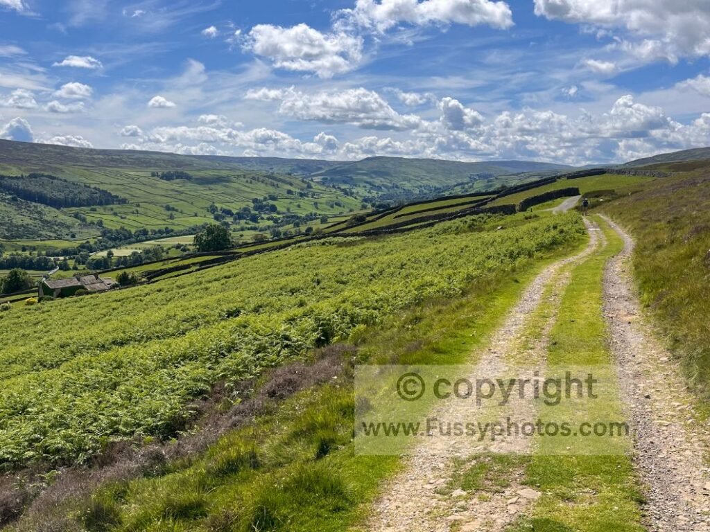 High route Swaledale view — elevated grassy route on the Coast to Coast Path looking west over Swaledale towards the mining area.