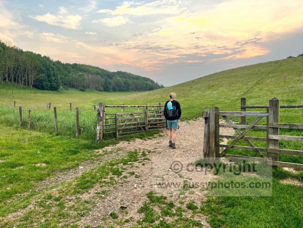 Evening light in Swin Dale, showing the warm sunset across the dry‑valley landscape on Day 1 of the Wolds Way.