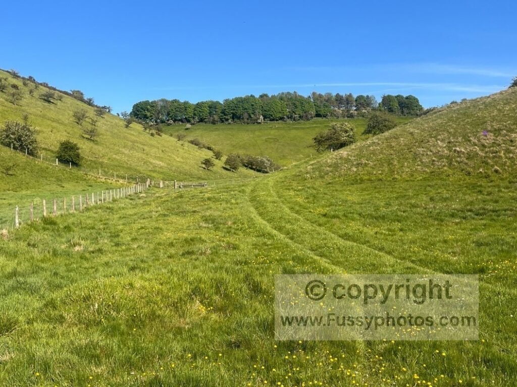 View of Pluckham Dale from the Wolds Way, showing the left of the two valleys where the circular walk turns south while the National Trail continues north.