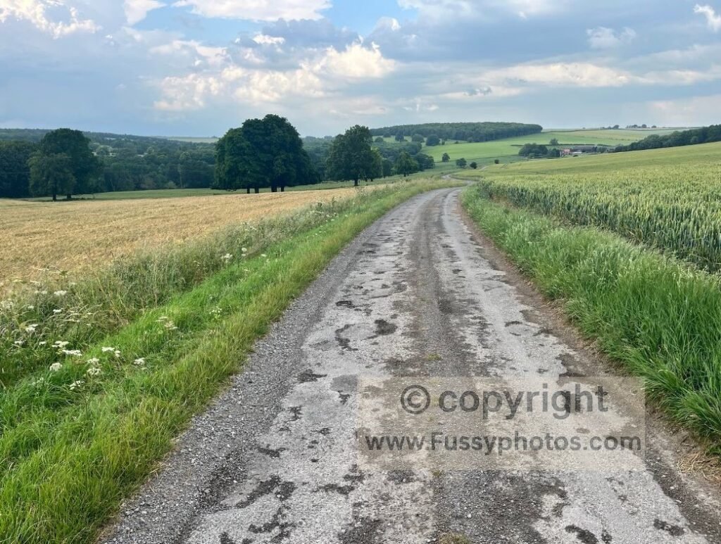 Wide, easy track leading from Goodmanham towards Londesborough on the Wolds Way, reflecting the flat, fast‑going terrain typical of this part of the trail.